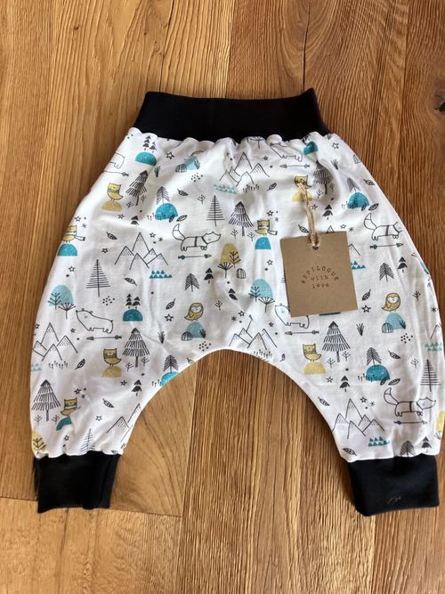 Solidaire | hiboux