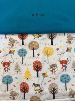 Cerf-volant — photo 7