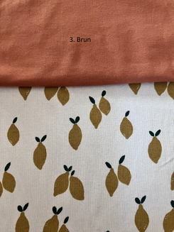 Citronnier — photo 5