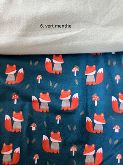 Renard d'automne — photo 6
