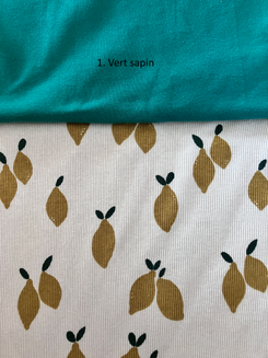 Citronnier — photo 3