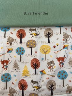 Cerf-volant — photo 9
