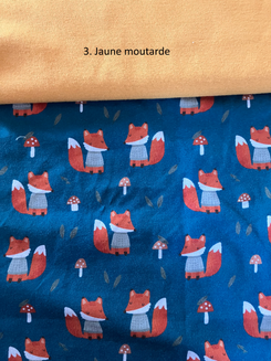Renard d'automne — photo 4