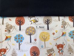 Cerf-volant — photo 2